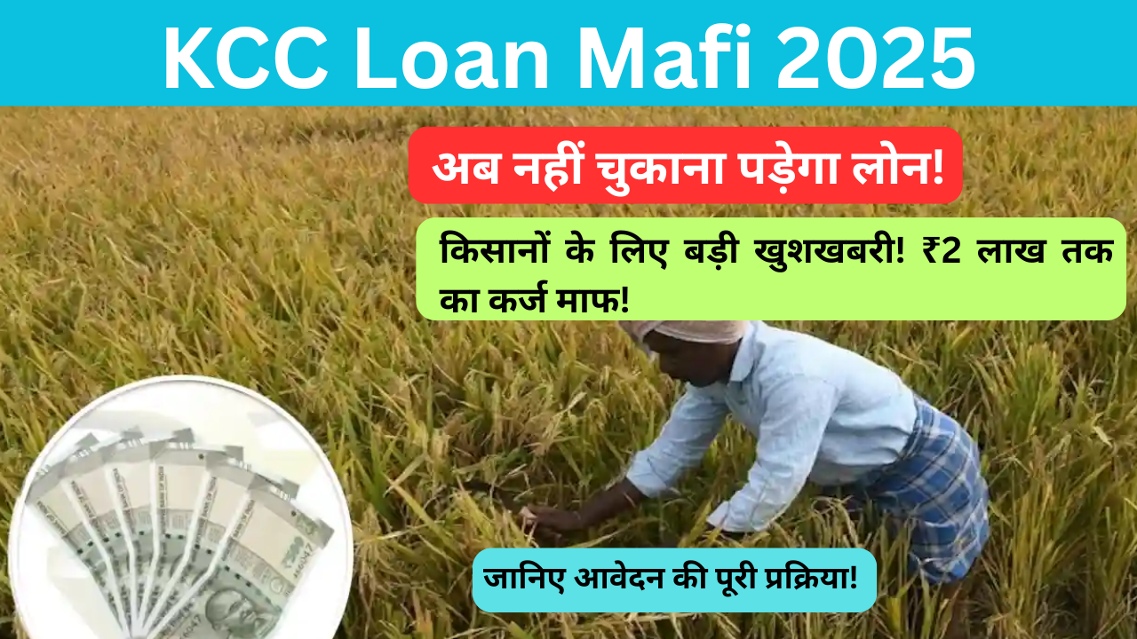 KCC Loan Mafi 2025