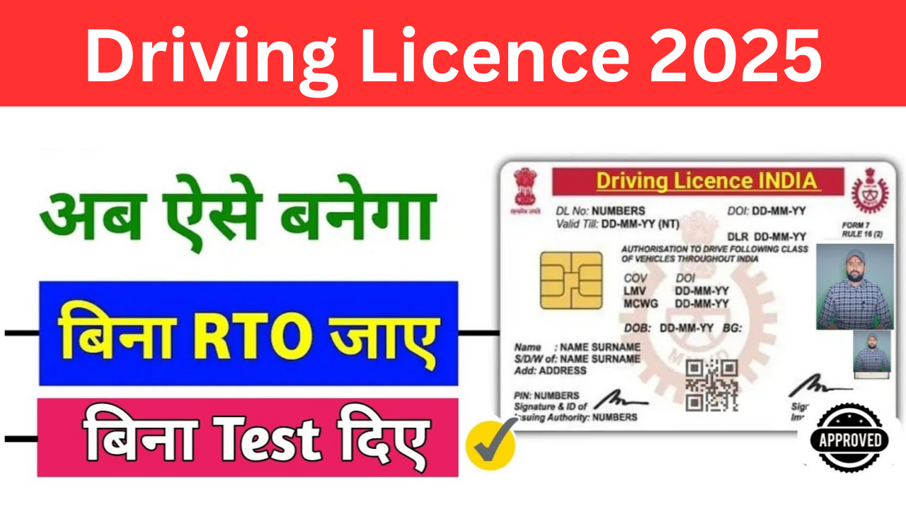 Driving Licence