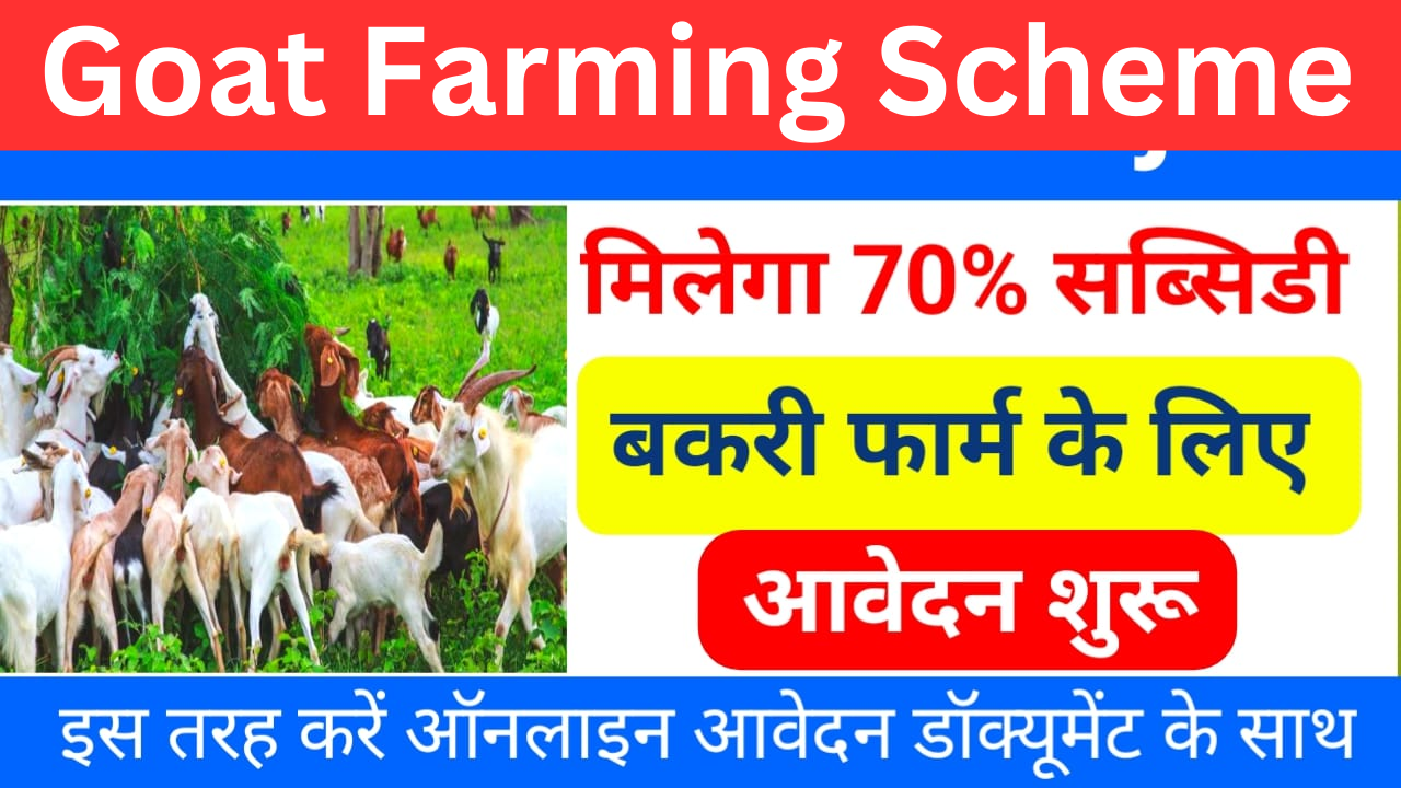 Goat Farming Scheme