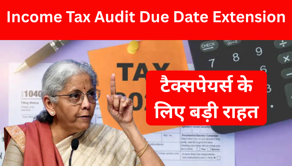 Income Tax Audit